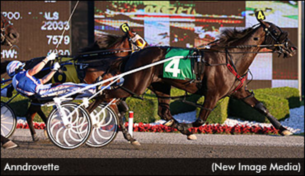 CBC, MLT, Roses Are Red Fields Set | Standardbred Canada