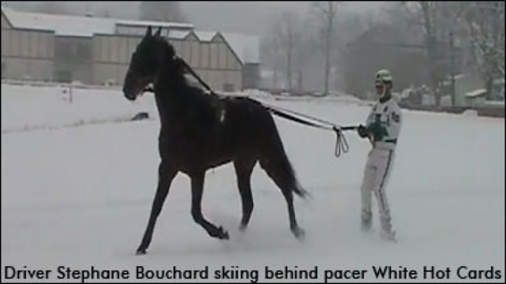 bouchard-skiing.jpg