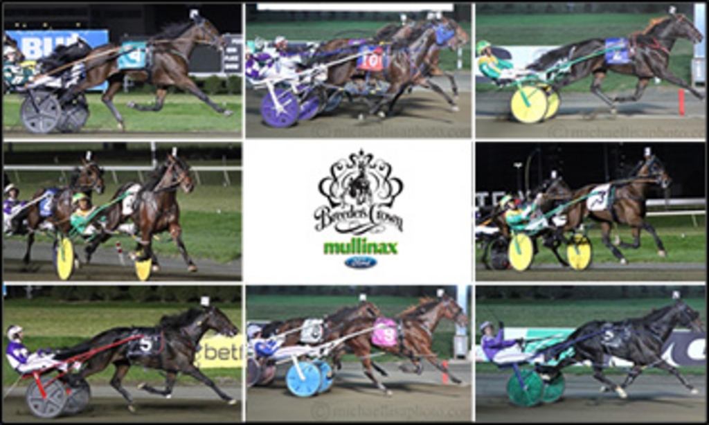 breeders-crown-winners-370.jpg