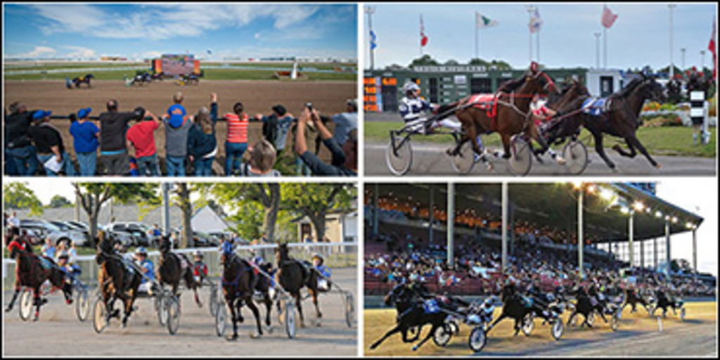 canadian-harness-racing-370.jpg