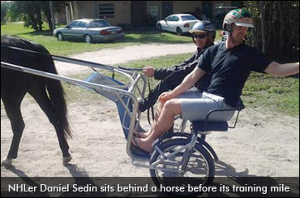 daniel-sedin-jog-cart.jpg