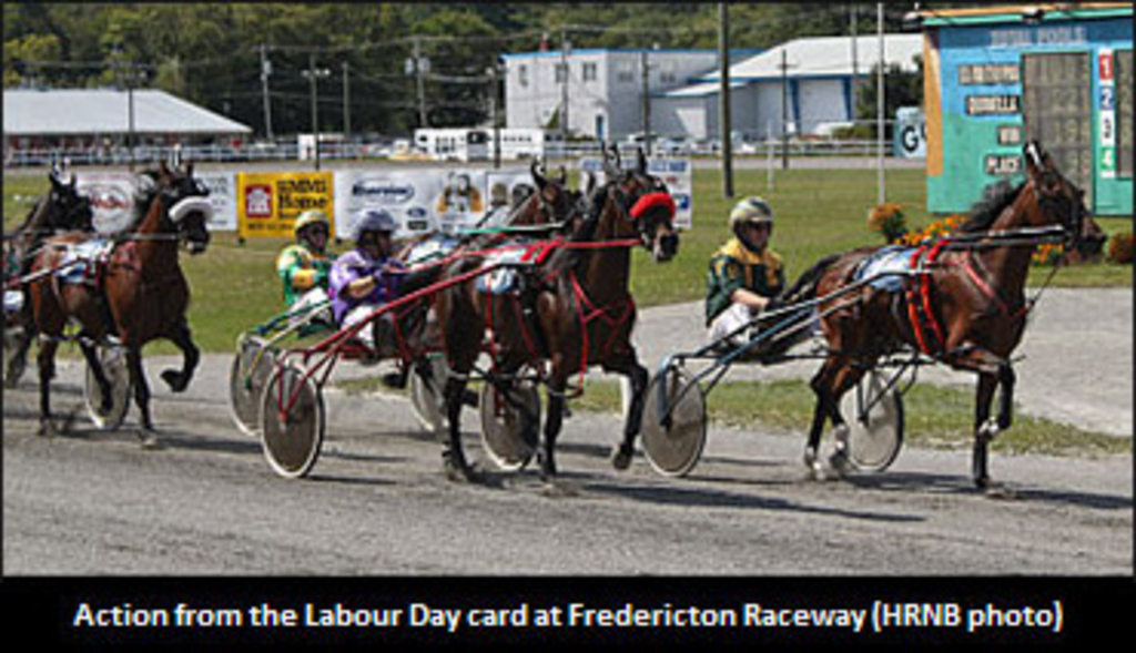 fredericton-raceway-racing.jpg