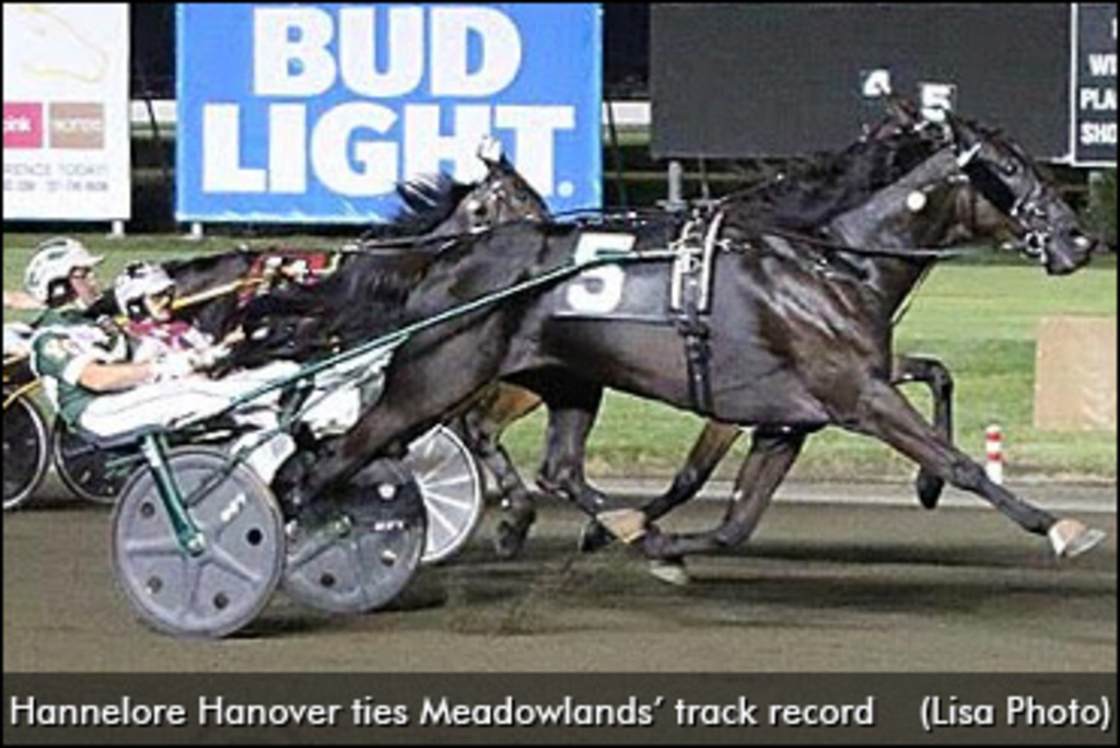 hannelore-hanover-meadowlands-370.jpg