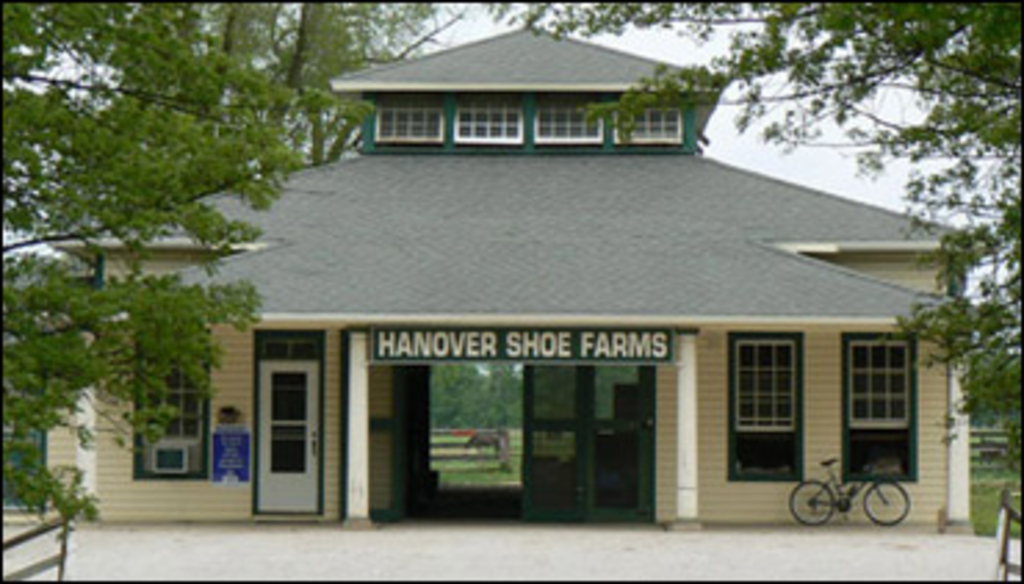 hanover-shoe.jpg