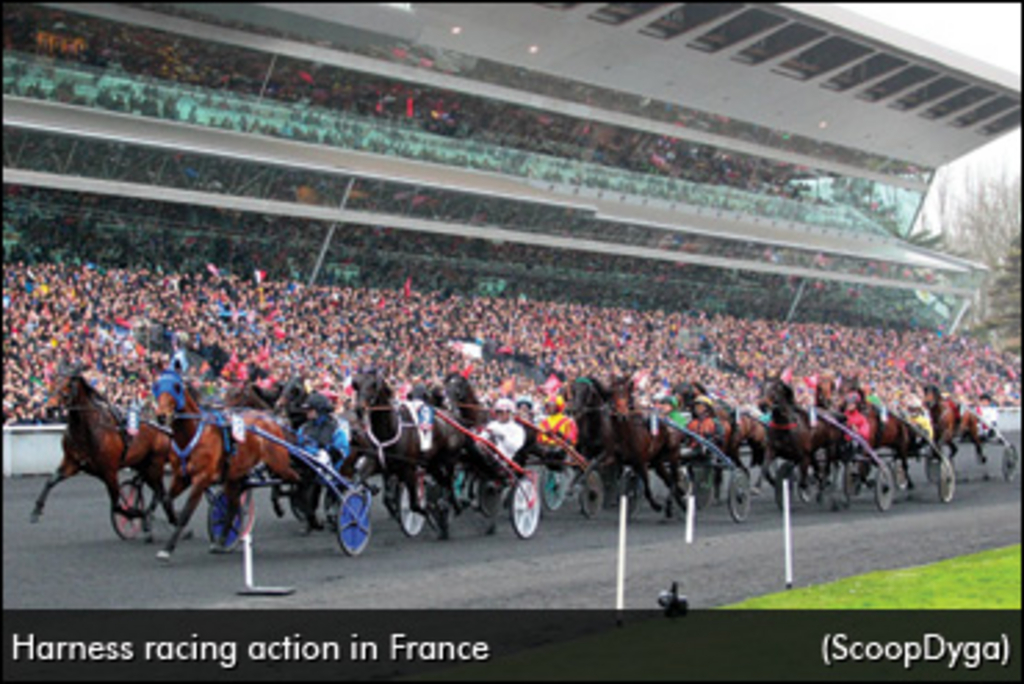 harness-racing-action-france-370.jpg