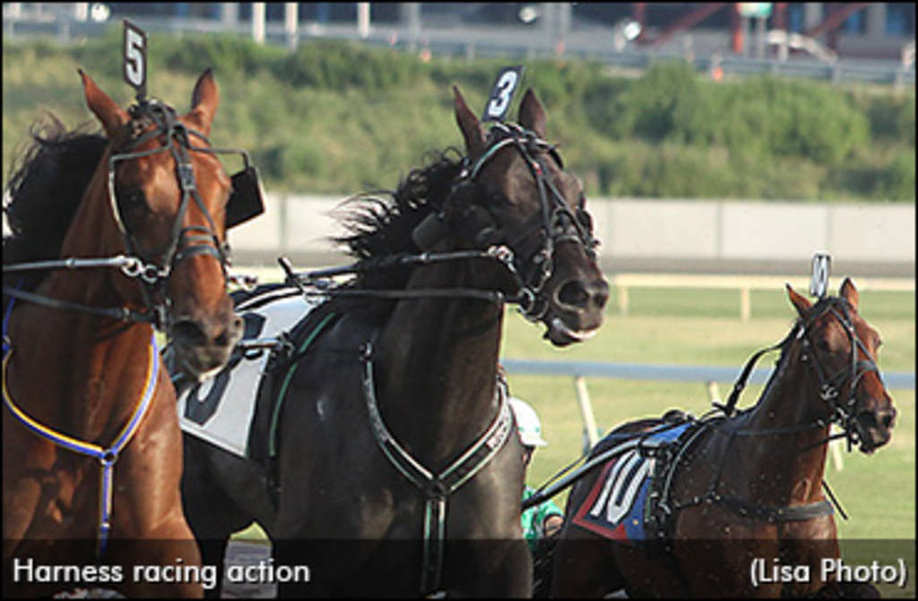 harness-racing-action-lisaphoto.jpg