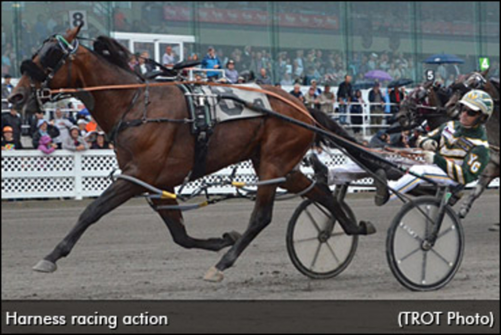 harness-racing-action-quebec.jpg