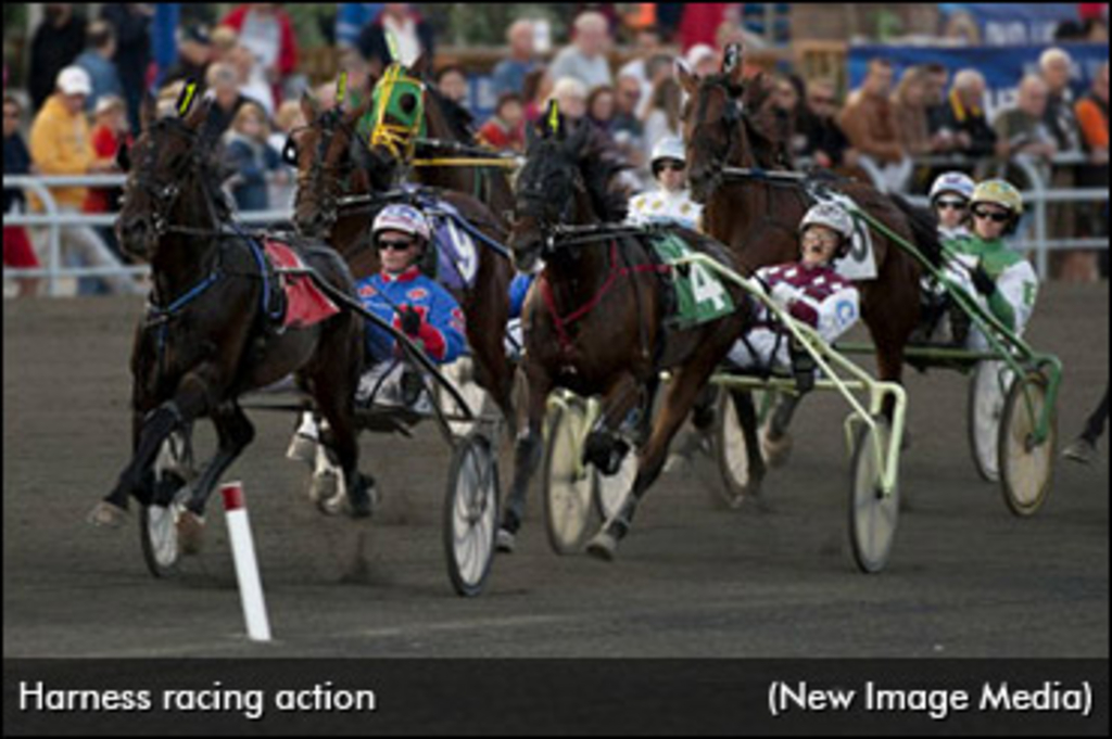 harness-racing-action-shot.jpg