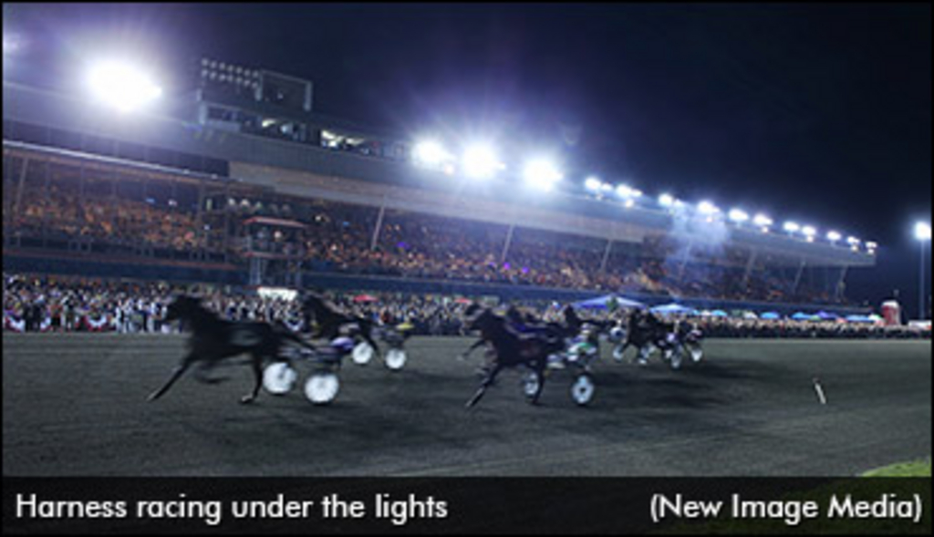 harness-racing-at-night.jpg