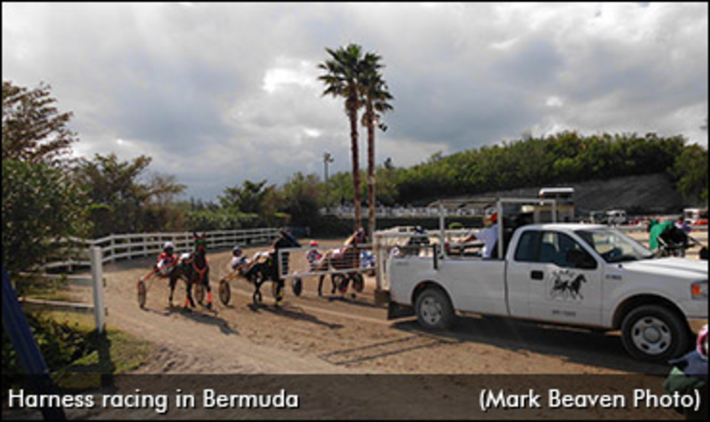 harness-racing-bermuda-370.jpg