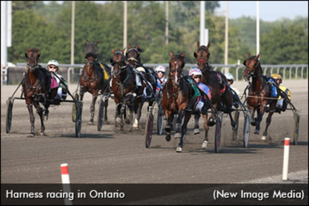 harness-racing-in-ontario-2017-370.jpg