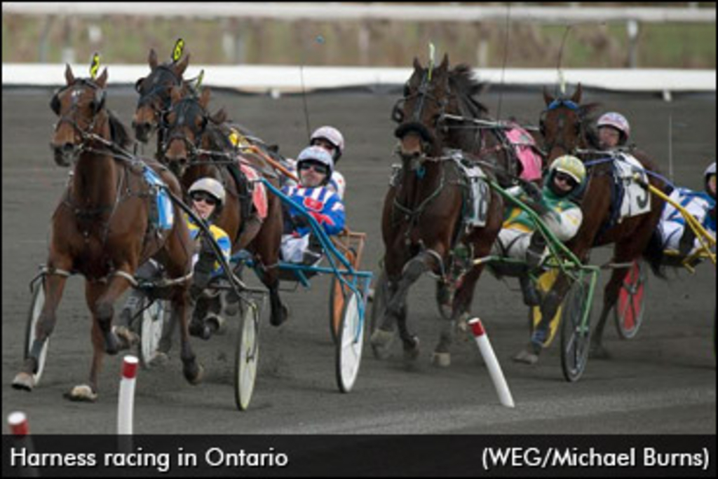 harness-racing-in-ontario-370.jpg