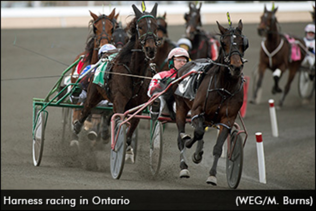 harness-racing-ontario-2016-370.jpg