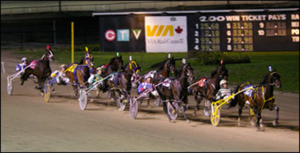 harness-racing-photo.jpg