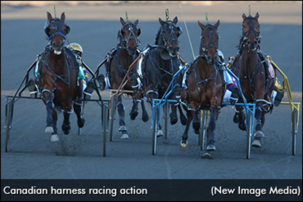 head-on-harness-racing-370.jpg