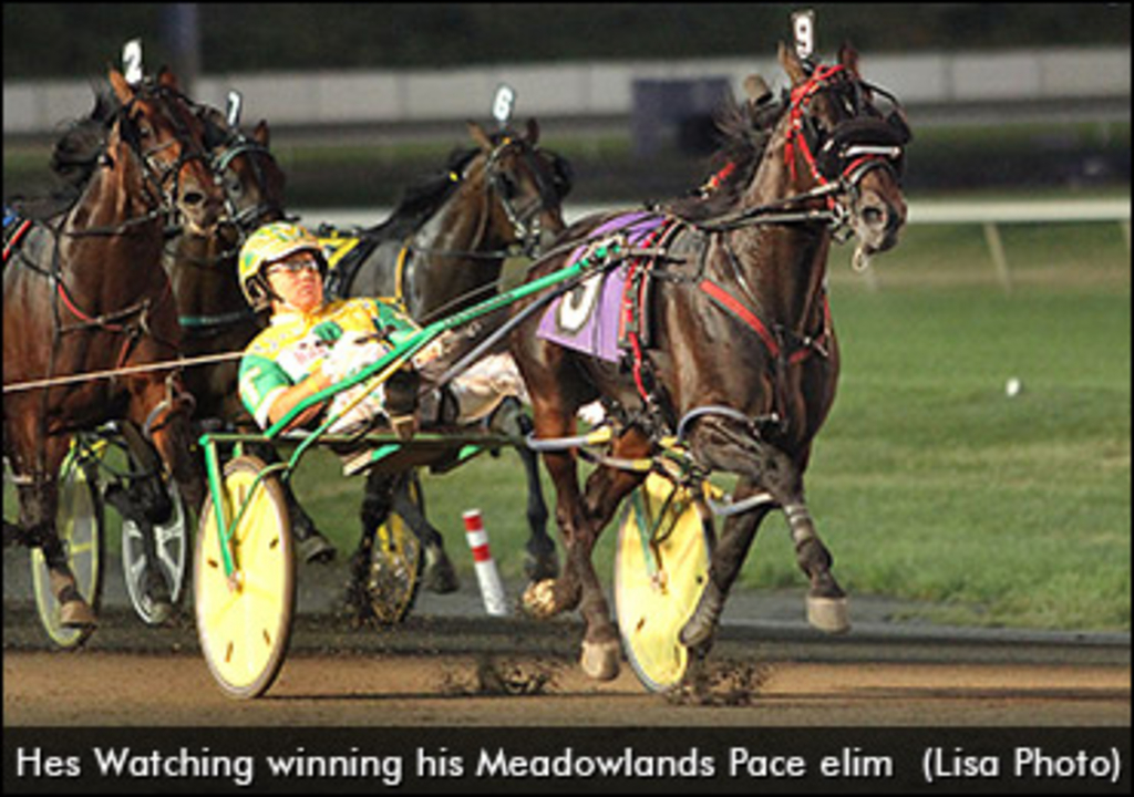 hes-watching-meadowlands-pace.jpg