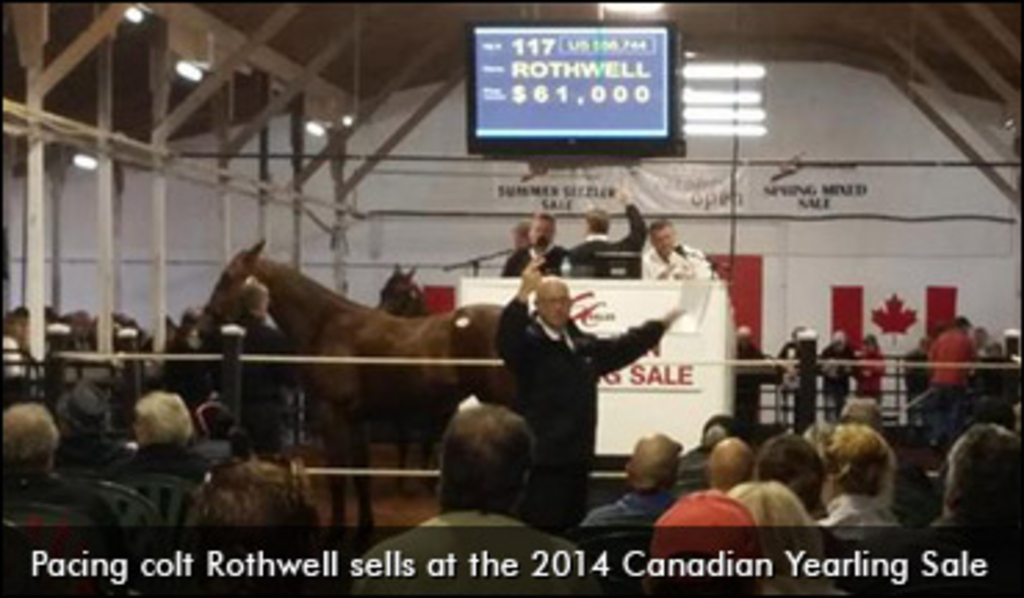 hip117-rothwell-sells.jpg