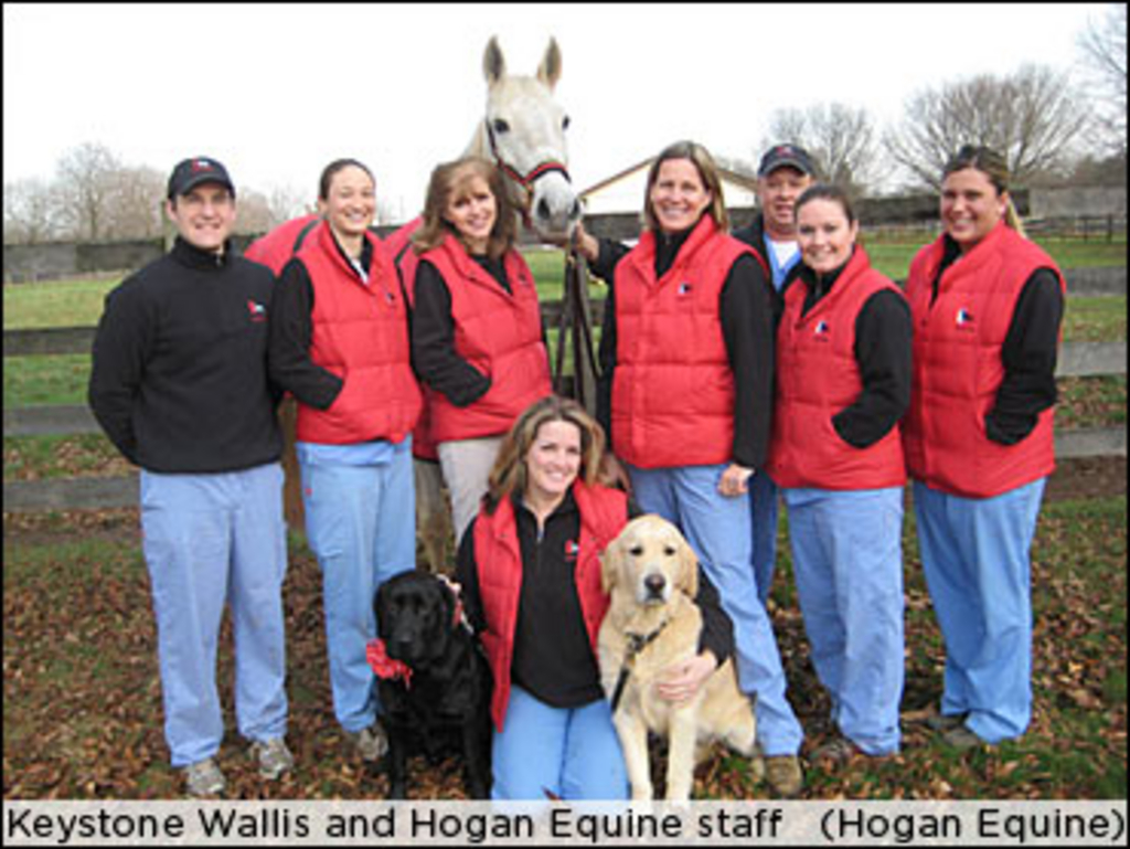 hogan-equine-christmas.jpg