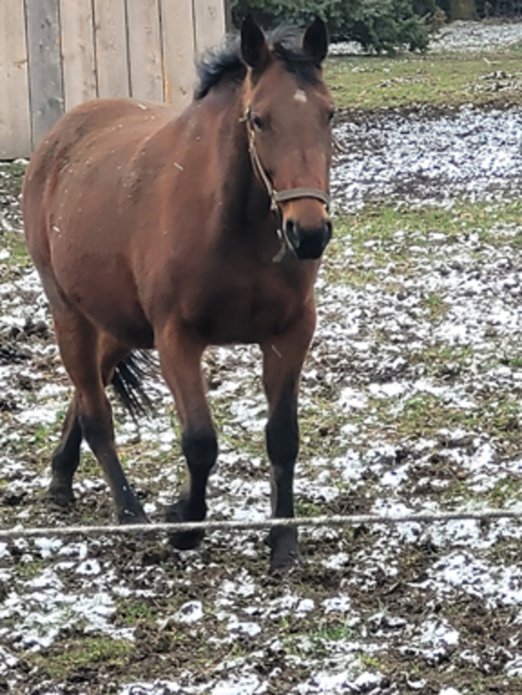 20240318_124909 4x6.jpg