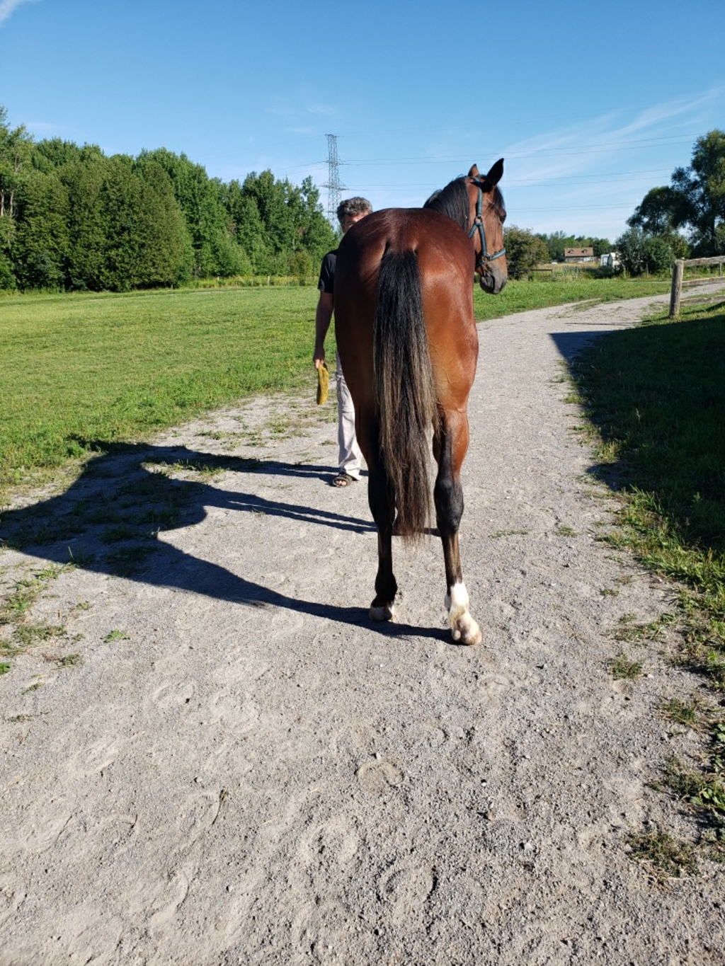 Rw Smokin Joe pic 3.jpg