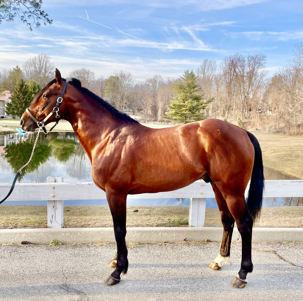 butch press photo.jpeg