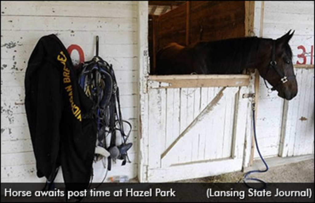 horse-waits-at-hazel-park.jpg