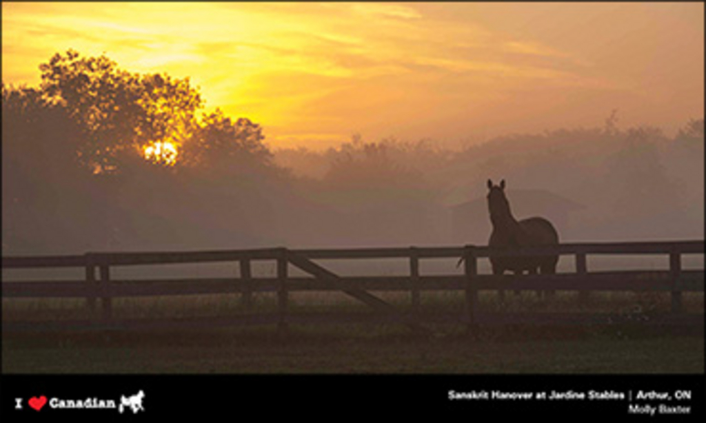 june-calendar-photographer-370.jpg