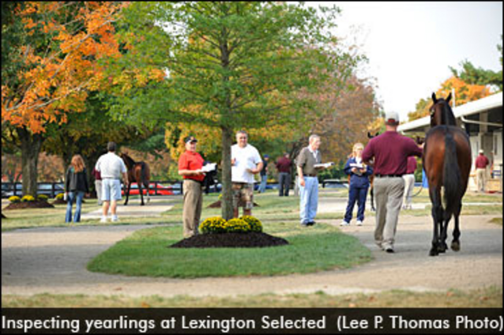 Lexington Selected Day 1 Sale Results Standardbred Canada