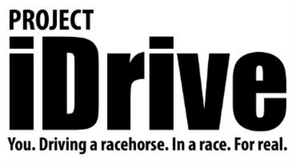 logo_iDrivegood.jpg