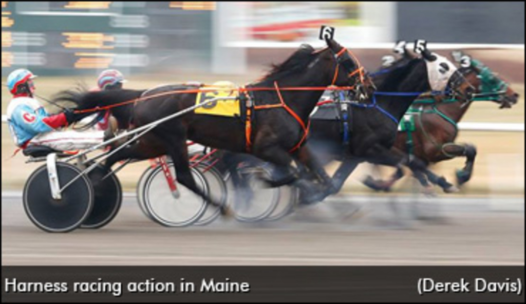 maine-harness-racing-370.jpg