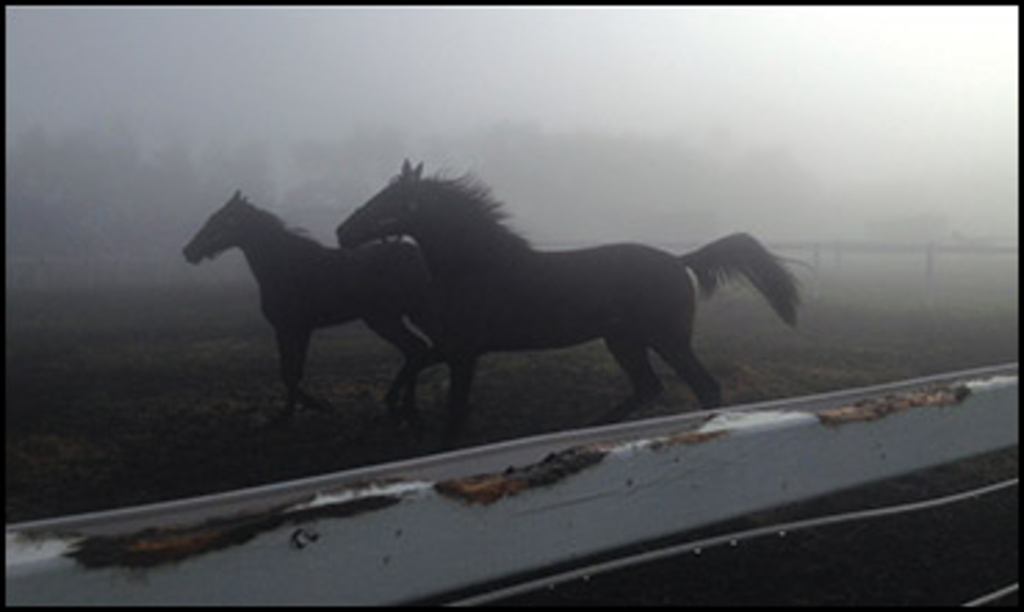 march-harness-racing-calendar.jpg