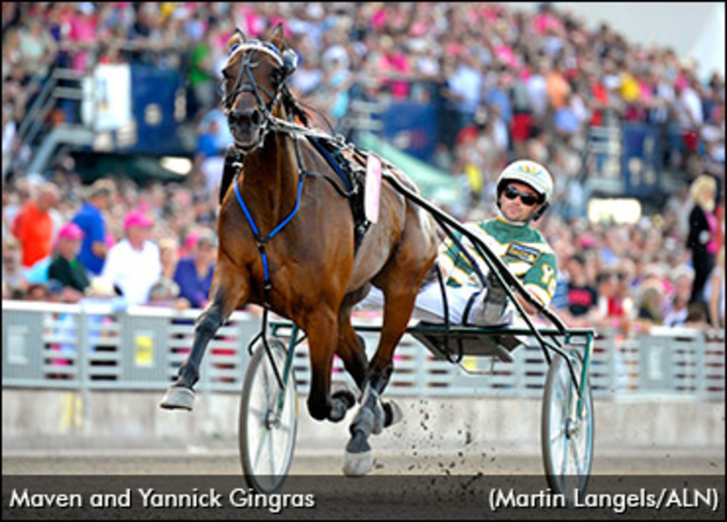 maven-yannick-gingras.jpg