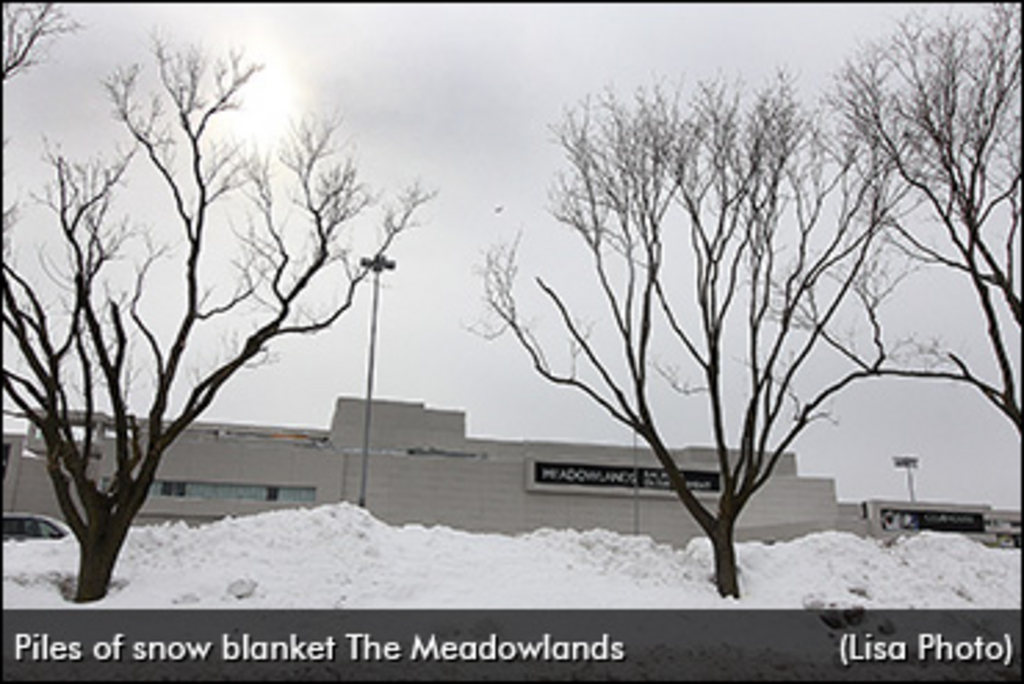 meadowlands-snow-370.jpg