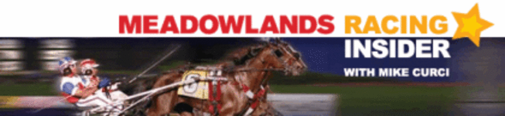 meadowlands_banner.gif