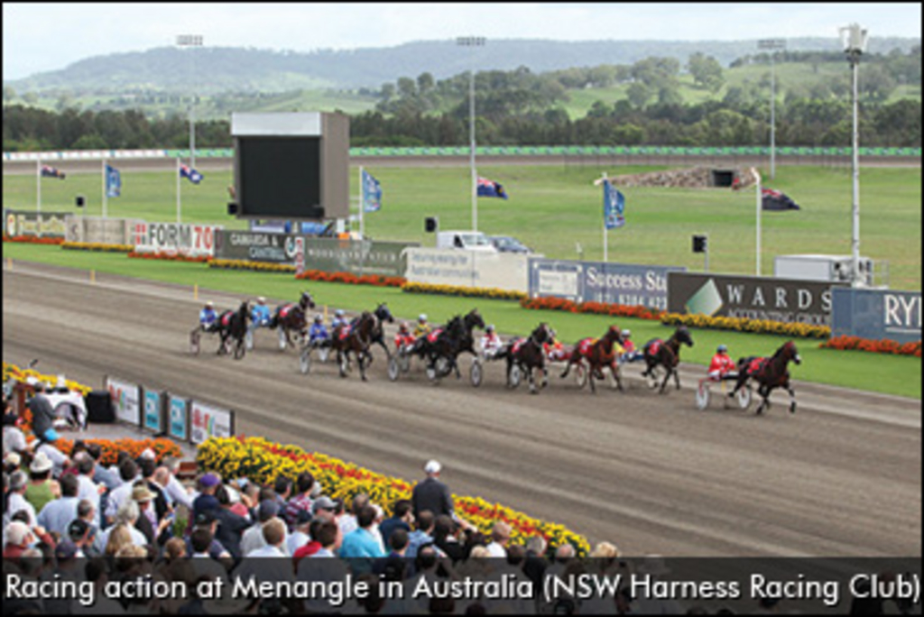 menangle-370.jpg