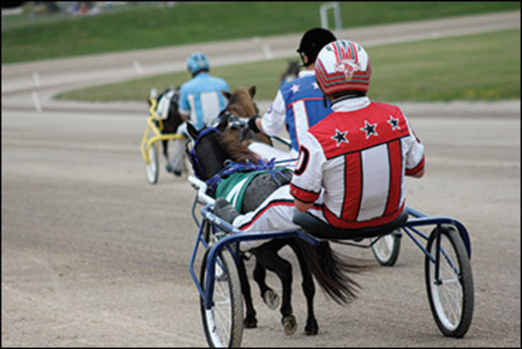 miniature-horse-racing.jpg