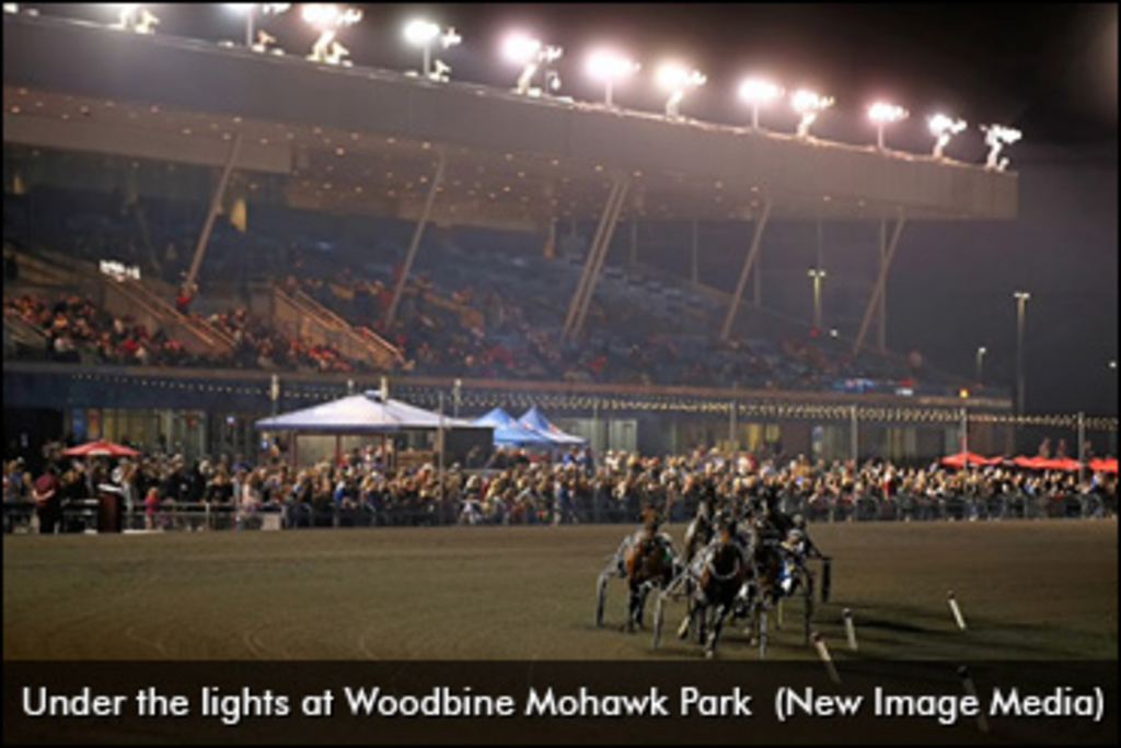 Woodbine Entertainment Adds Three New Members To Board Of Directors - Horse  Racing News