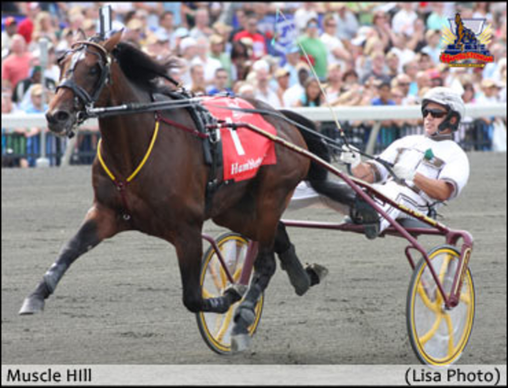 muscle-hill-hambo09.jpg