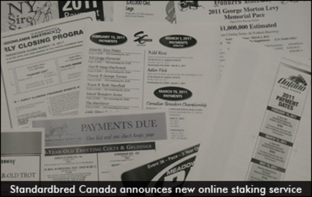 Staking  Standardbred Canada