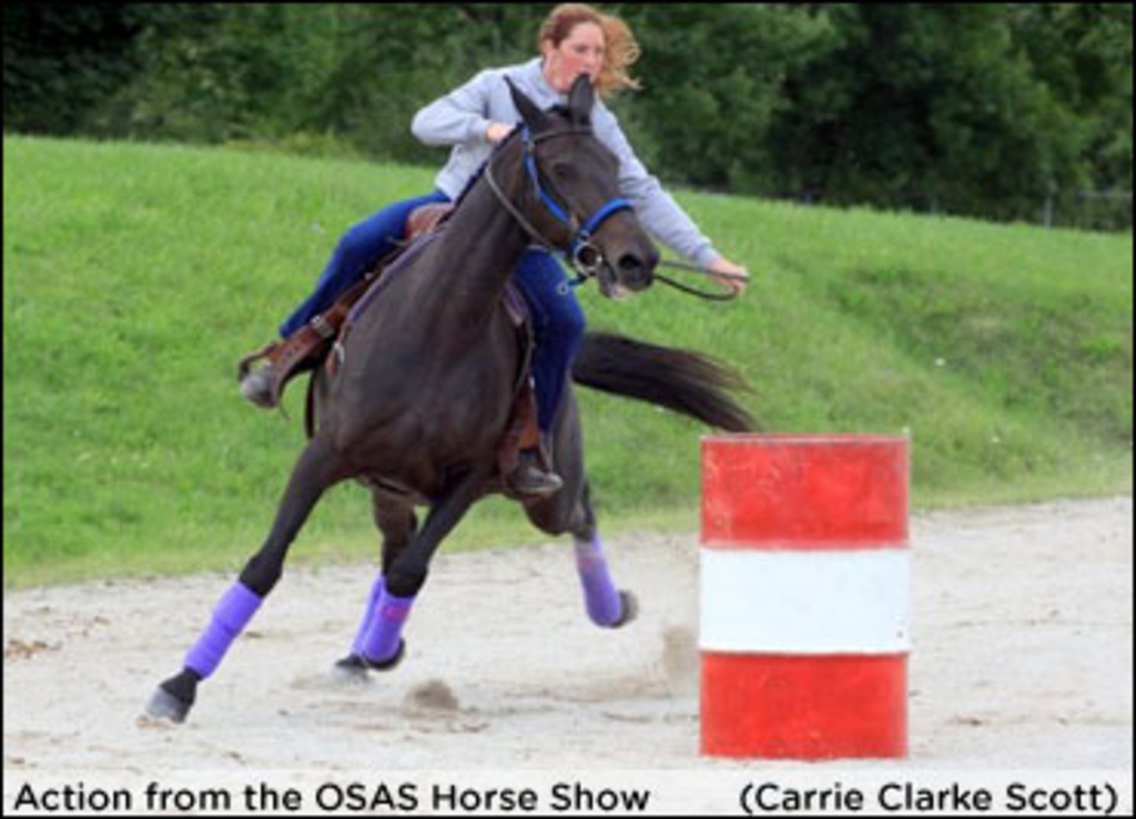 osas-horse-show-edit.jpg