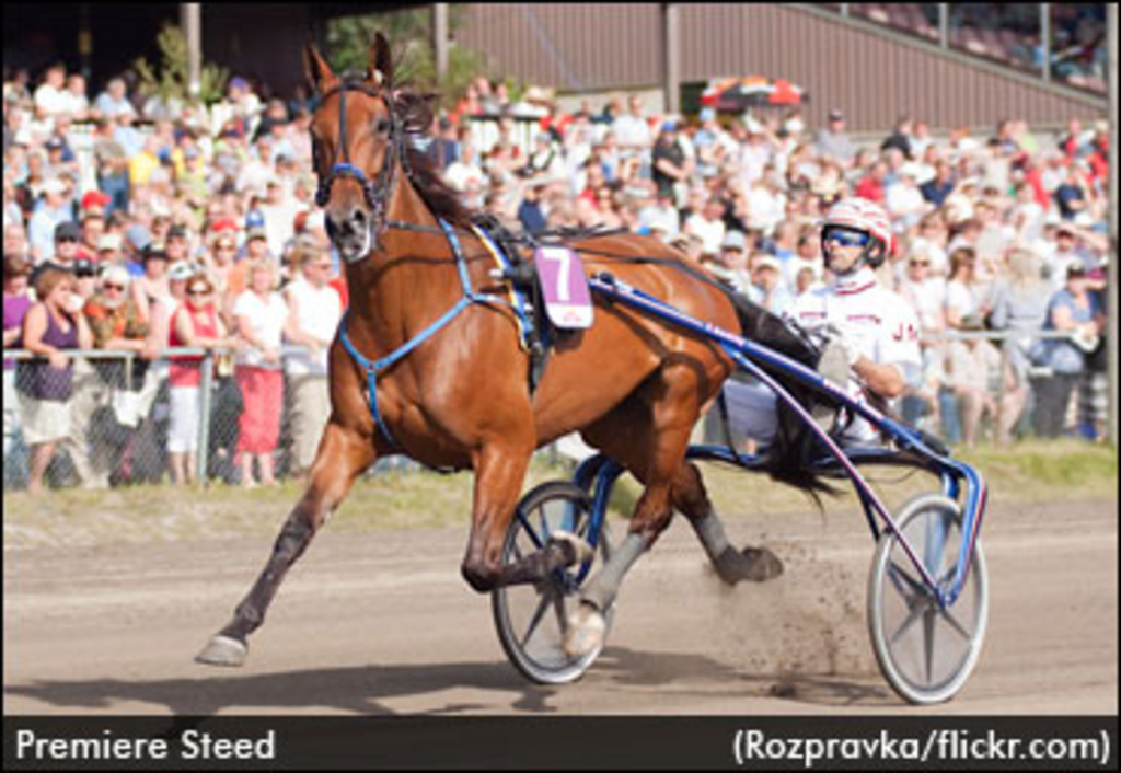 French Trotter Should Improve Here | Standardbred Canada