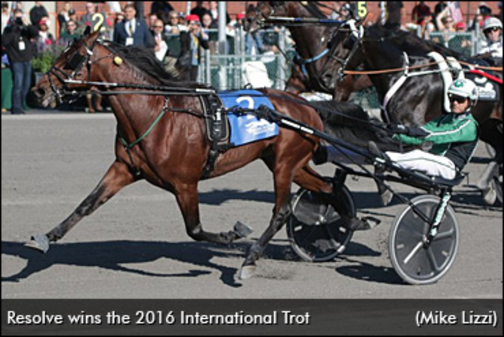 resolve-2016-international-trot-370.jpg