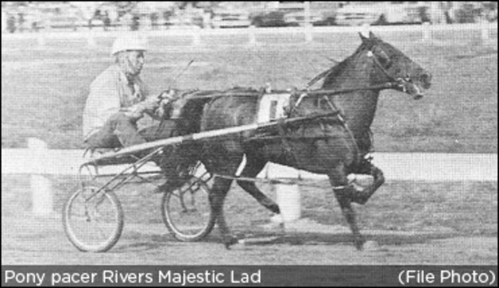 rivers-majestic-lad.jpg