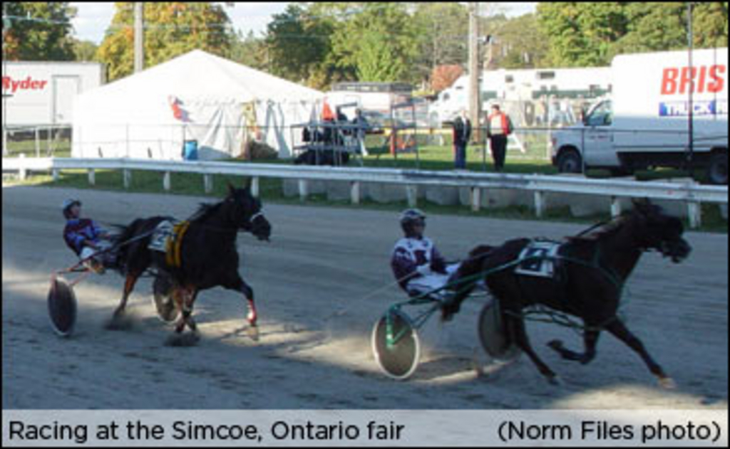simcoe-fair.jpg