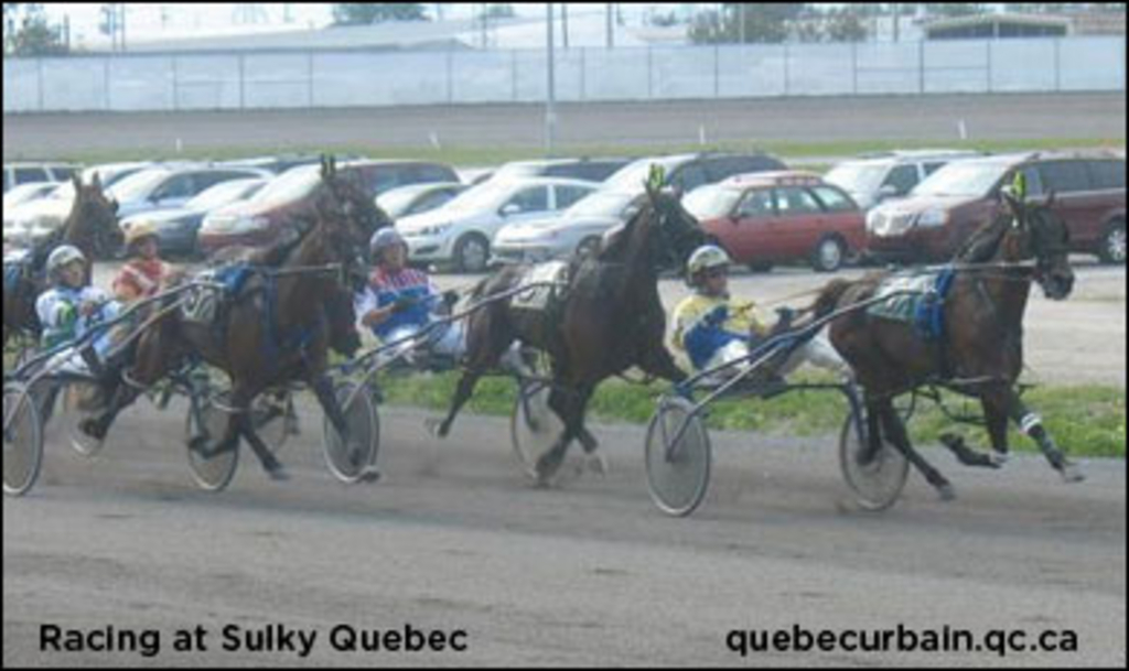 sulky-quebecfilephoto.jpg