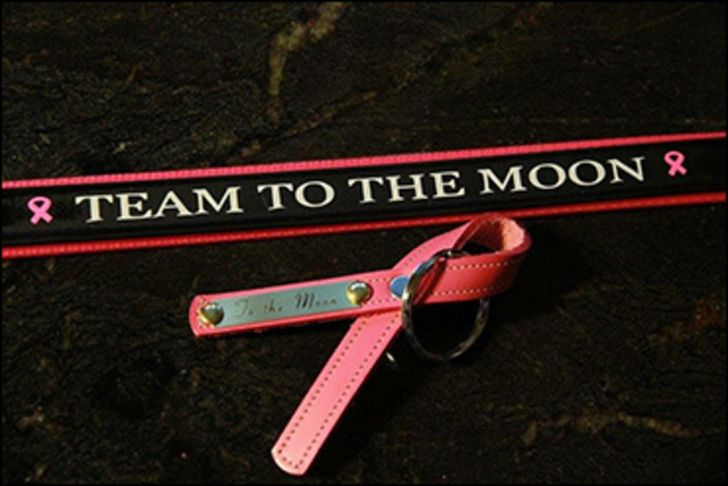 team-to-the-moon-370.jpg