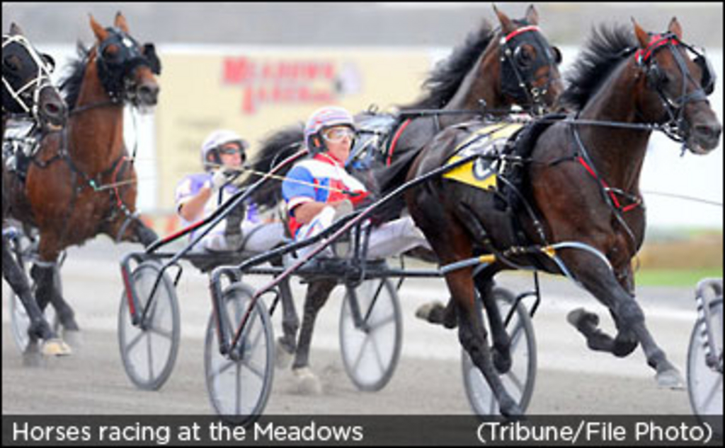 the-meadows-racing.jpg