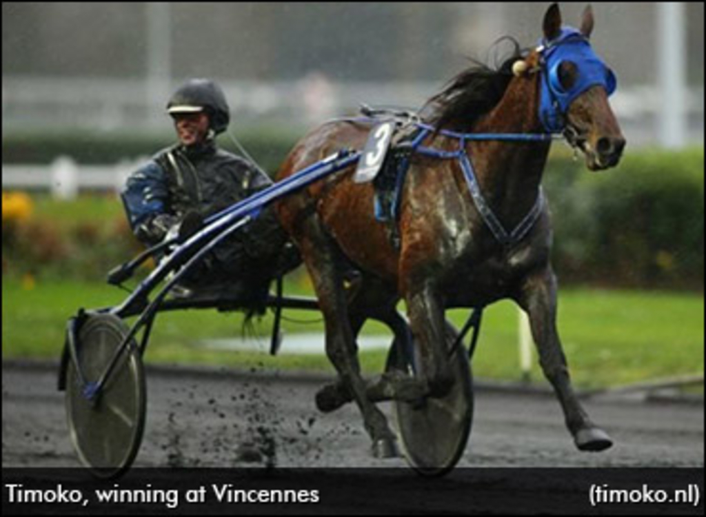 timoko-prix-de-bourgogne-370.jpg