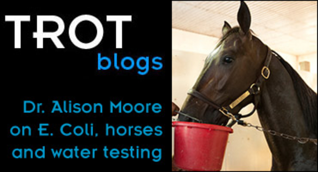 trot-blogs-alison-moore-e-coli.jpg