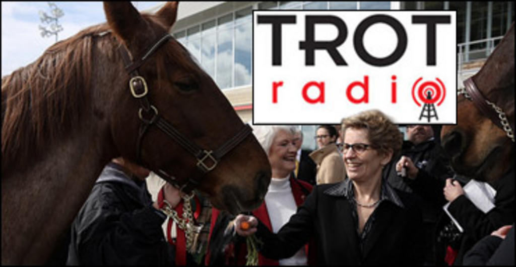 trot-radio-wynne-announcement.jpg